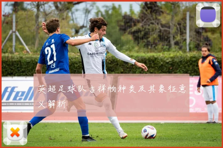 英超足球队吉祥物种类及其象征意义解析