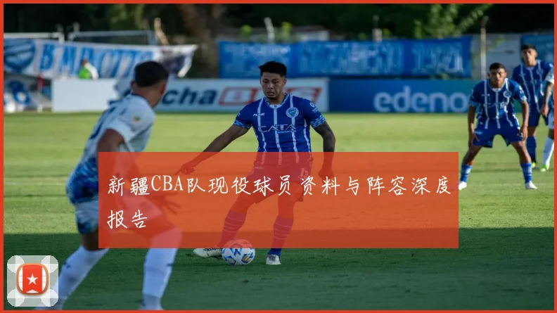 新疆CBA队现役球员资料与阵容深度报告